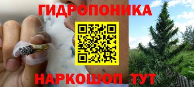 прущие крисы Бузулук