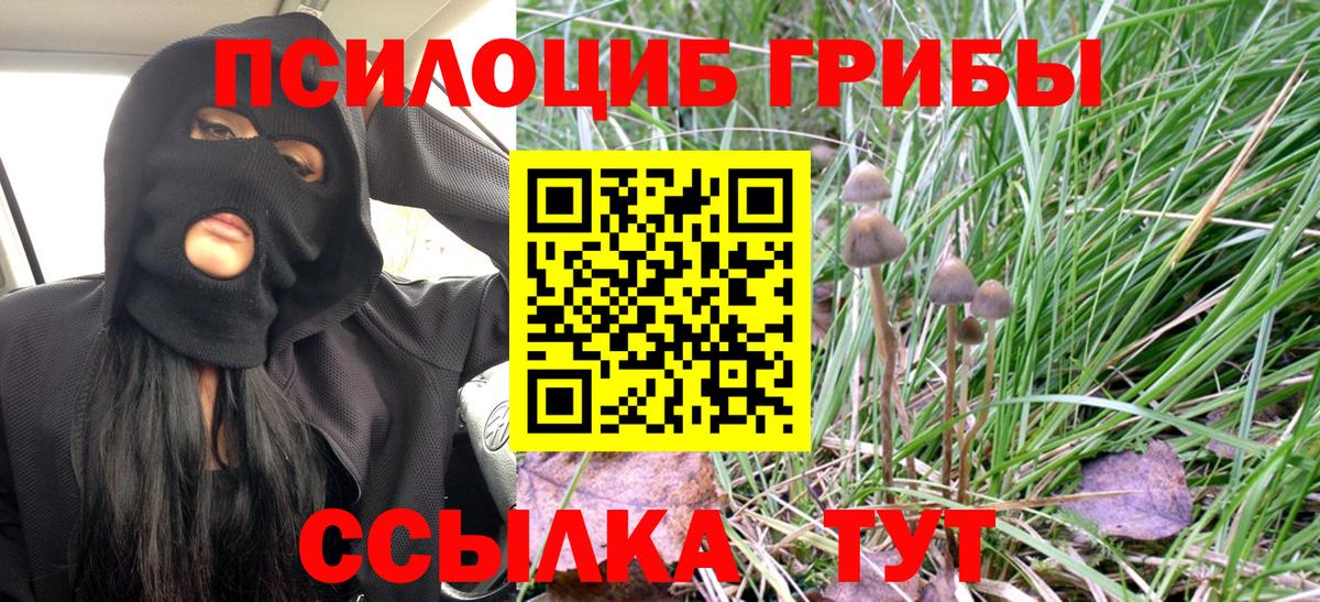 Галлюциногенные грибы Psilocybine cubensis Рассказово